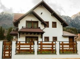 Casuta Doi Ponei，位于布什泰尼的酒店