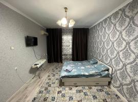 1-room apartment on Toktogula 64v，位于比什凯克的酒店