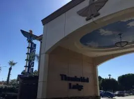 雷鸟旅舍酒店