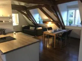 Ferienwohnung Münsterblick