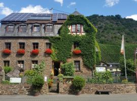 Weingut -1869- Brunnenhof，位于Hatzenport的宠物友好酒店