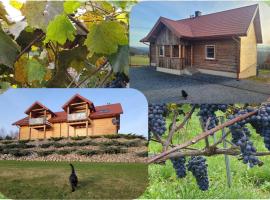 Fantastic View Vineyard Beskid Mountains，位于Gruszów的酒店