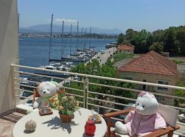 AB Preveza Apartments-15 Meters Over the Sea Attic & Alexander's the Great Executive Suite，位于普雷韦扎的酒店