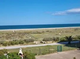 Le Sunset plage , vue mer , accès direct plage, 4 personnes