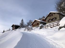 Tiny House facing the Alps - Ski in, Ski out，位于安塞热的酒店