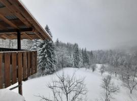 Planinarski dom Skrad，位于Skrad的酒店