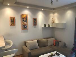 Apartman Stojanovic R，位于诺维萨德的酒店