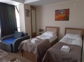 Sunny Studio in Gudauri，位于古多里的公寓式酒店
