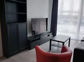 Appartement 2p1/2 pour couple ou famille