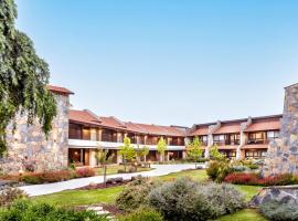 Merom Golan Resort，位于梅伦戈兰的酒店