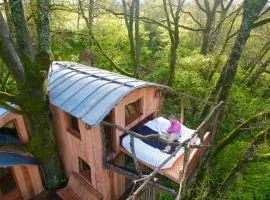 Cabane perchée Les Cabanes de Fallot - sauna bain-froid piscine naturelle