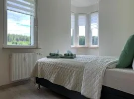 Wohlfuehl-Wohnung mit Sternekomfort und XL Balkon in Tanne
