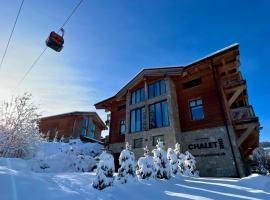 Chalet One Jasn&aacute;，位于迪马诺卡多林纳的木屋