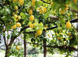 Poggio Angelarosa: Lemon Garden Stay&Relax，位于斯卡拉的酒店