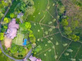 Grand Argyle Resort