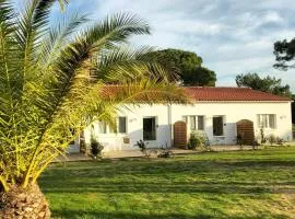 Résidence Les Salines Boyardville - Chambres et studios