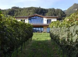 伊尔维妮托住宿加早餐旅馆