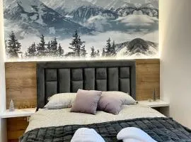 Pinewood apartment Jahorina