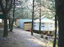 Mushroom Yurt，位于阿伯里斯特威斯的豪华帐篷营地