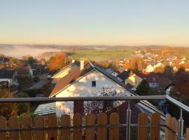 Stifterfelsen Ferienwohnung，位于Sinzing的酒店