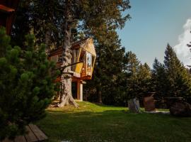 Tree House Alpinka Krvavec，位于戈雷尼斯卡地区采尔克列的乡村别墅