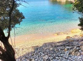 Villa Maria 1，位于帕莱欧卡斯提撒的带停车场的酒店