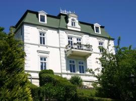 索菲娅别墅酒店，位于萨斯尼茨的民宿