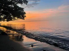 Borbon's Treehouse By the Sea