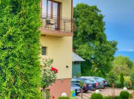 Pensiunea Cristiion，位于Măţău的酒店