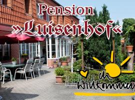 Pension Luisenhof，位于唐格明德的酒店