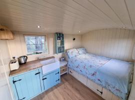 Delilah the shepherd's hut，位于Sidlesham的公寓