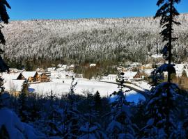 Les fermes du Lac Gerardmer，位于热拉梅的公寓