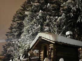 Chalet Blanc "Le Flocon"，位于库马约尔的酒店