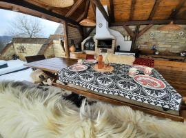 Acul în carul cu fan，位于Pădurenii的酒店