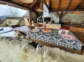 Acul în carul cu fan