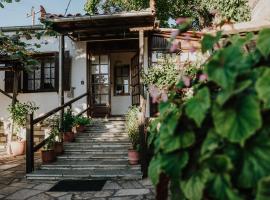 Traditional House In Portaria，位于波尔塔里亚的别墅