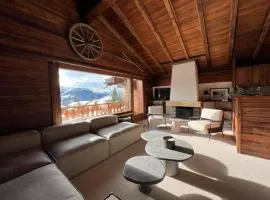 Ski in Ski Out Superb Attic Apartment in Les Esserts