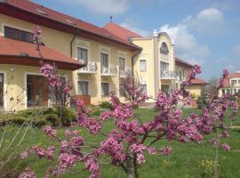 Termál Hotel Pávai，位于拜赖克菲尔德的酒店