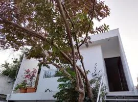 Amplio departamento CASA MANGO