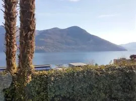 Brissago: 3.5 Zi-Wohnung an extrem ruhiger Lage mit fantastischem Ausblick