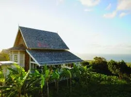 Belle Mont Sanctuary Resort - Kittitian Hill