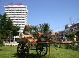 Hotel Decebal，位于巴克乌的酒店