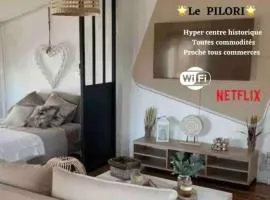 Le Pilori - Centre Historique, en face du musée du Pilori, à 2mn à pied de l'hyper centre et proche toutes commodités, WIFI-Netflix