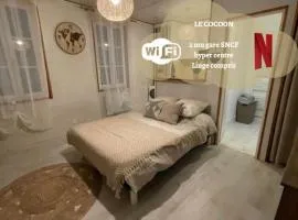 Le Cocoon - 2mn gare SNCF, hyper centre, WIFI-NETFLIX