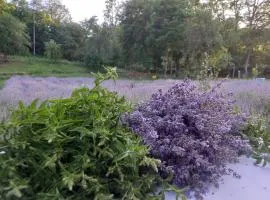 Casa cu levănțică