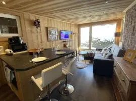 Studio Cabine à Praz-sur-Arly, 4 pers, proche pistes et village, parking et extérieur privé - FR-1-603-73