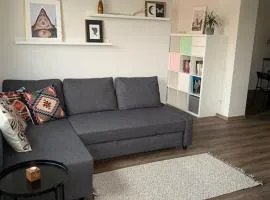 Cozy apartment in Karmelava