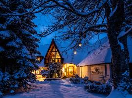 Landhaus Amselhof Hinterzarten，位于欣特察尔滕的酒店