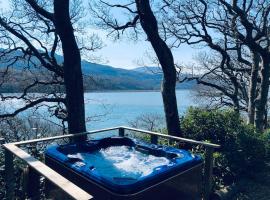 Waterside Cader Cabin with Hot Tub，位于巴茅思的酒店