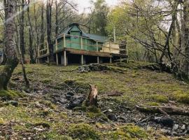 Tree Top Cabin with log burner & private hot tub，位于巴茅思的酒店